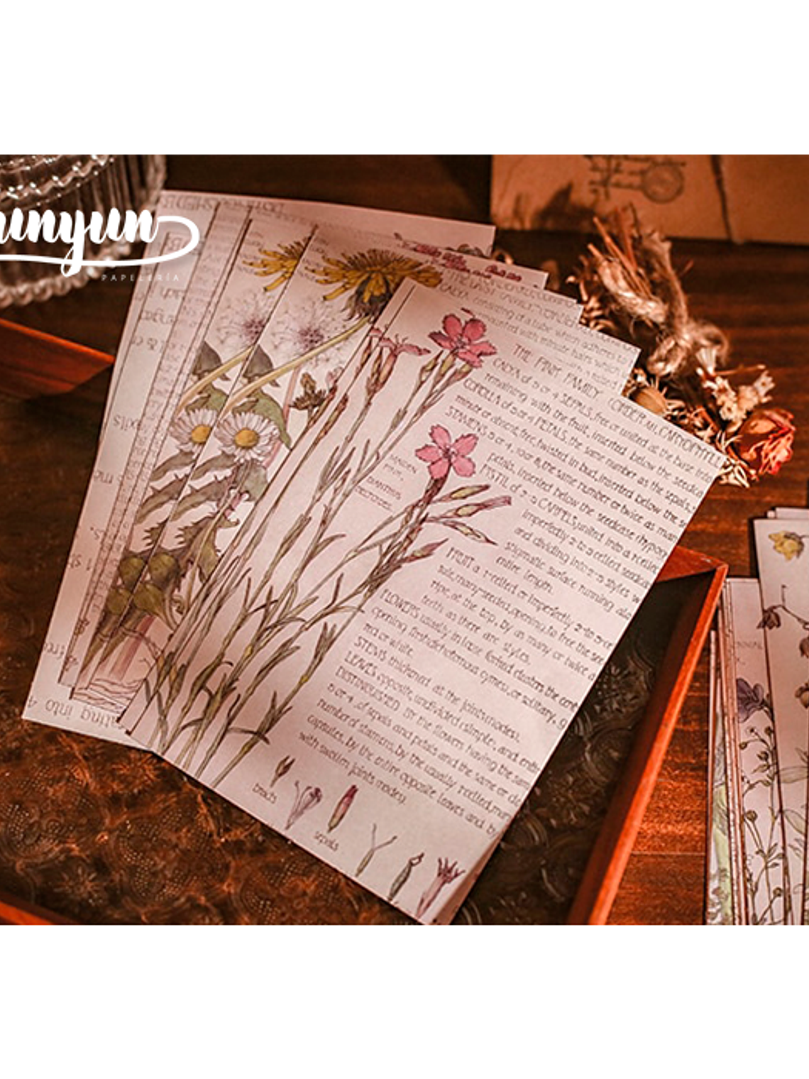 Stickers Old Book - 25 pzas 8