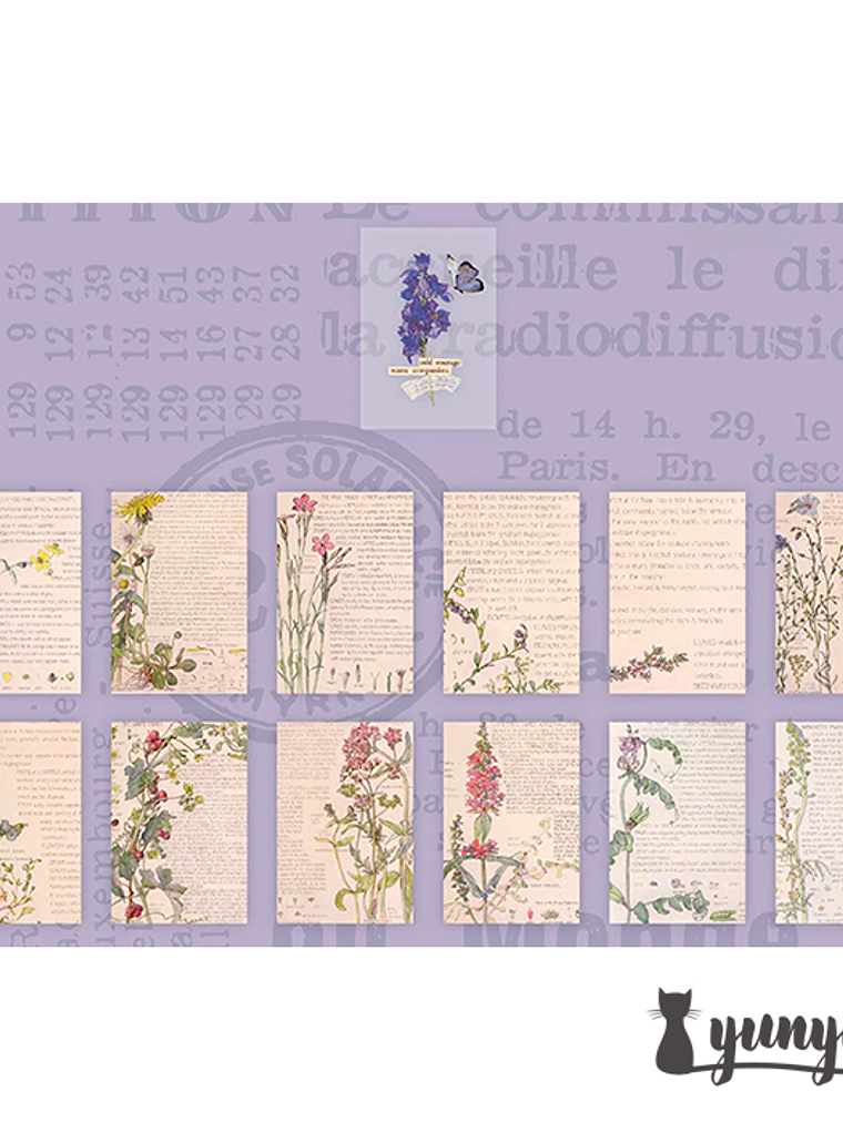 Stickers Old Book - 25 pzas 10