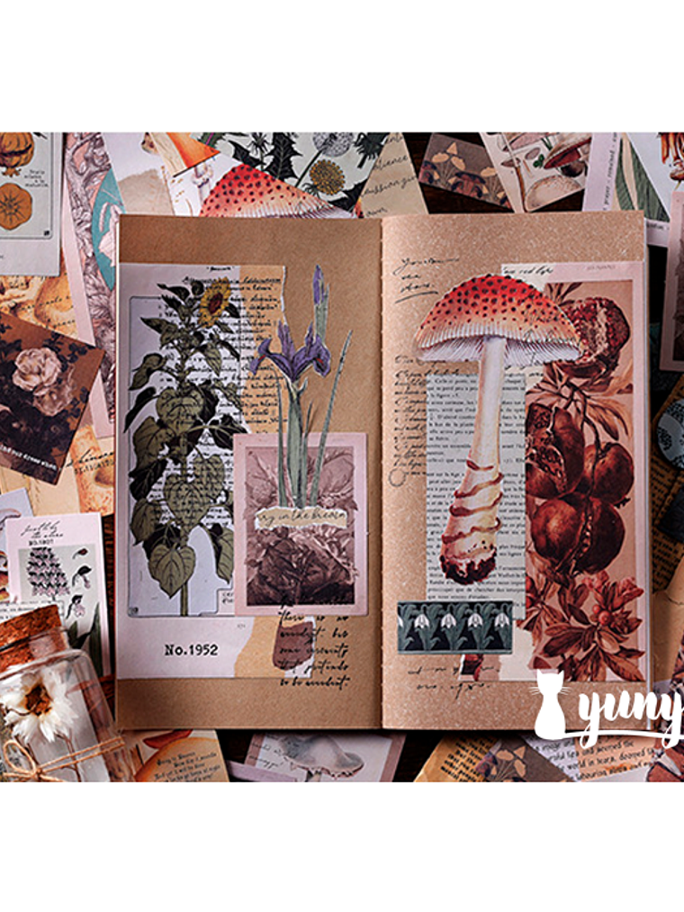 Papermore Deco Pack - 76 Piezas 6