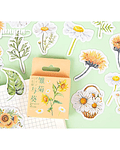 Caja Stickers Flores #2 - 45 pzas