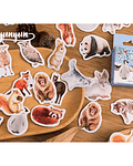 Caja Stickers Animales #34