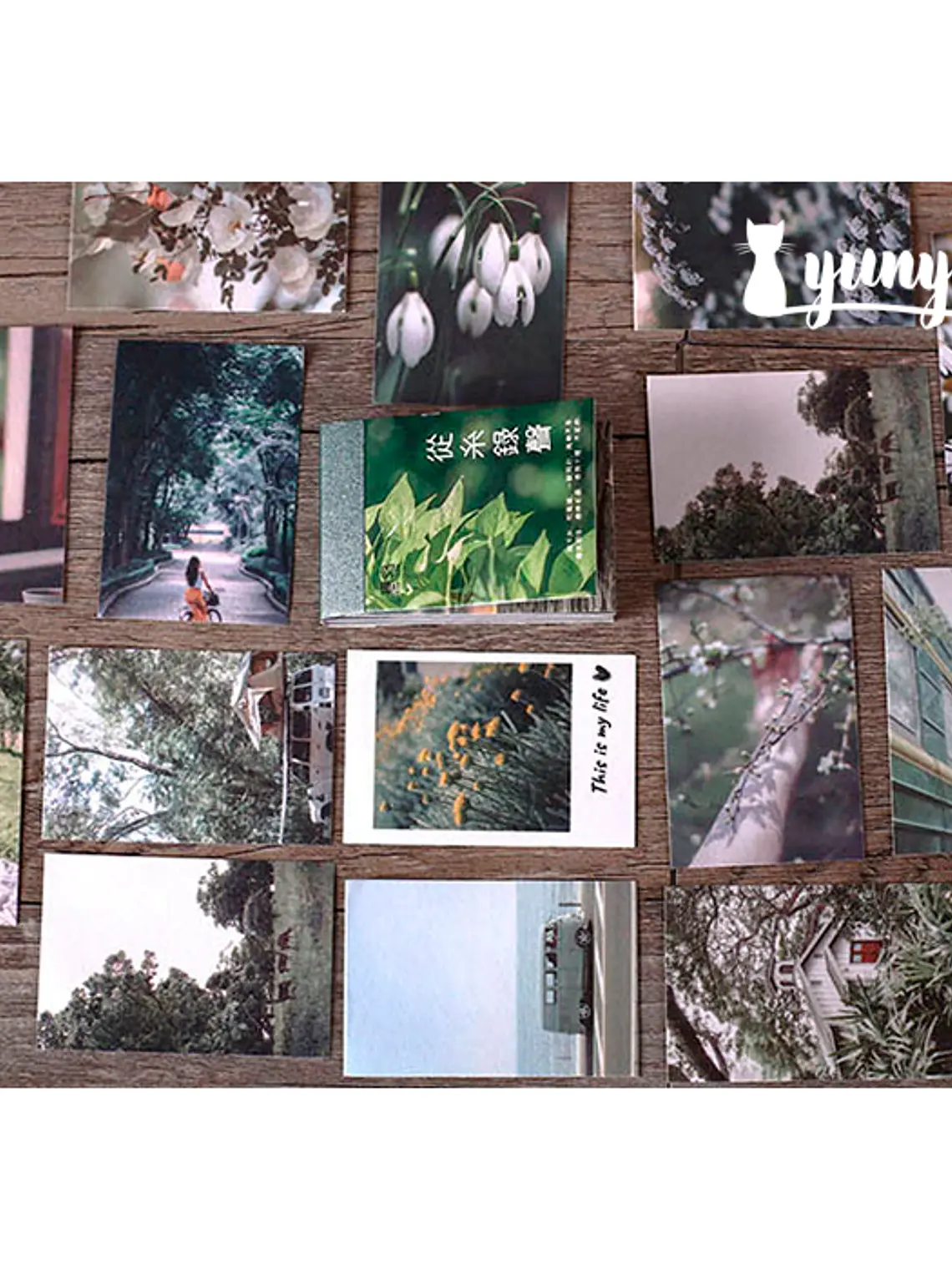 Mini Sticker Book Paisajes - 50 pzas 8