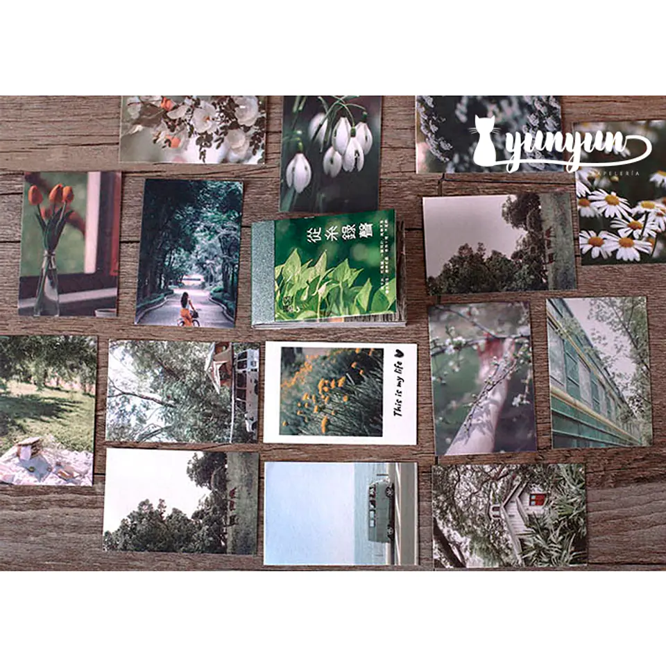 Mini Sticker Book Paisajes - 50 pzas 8