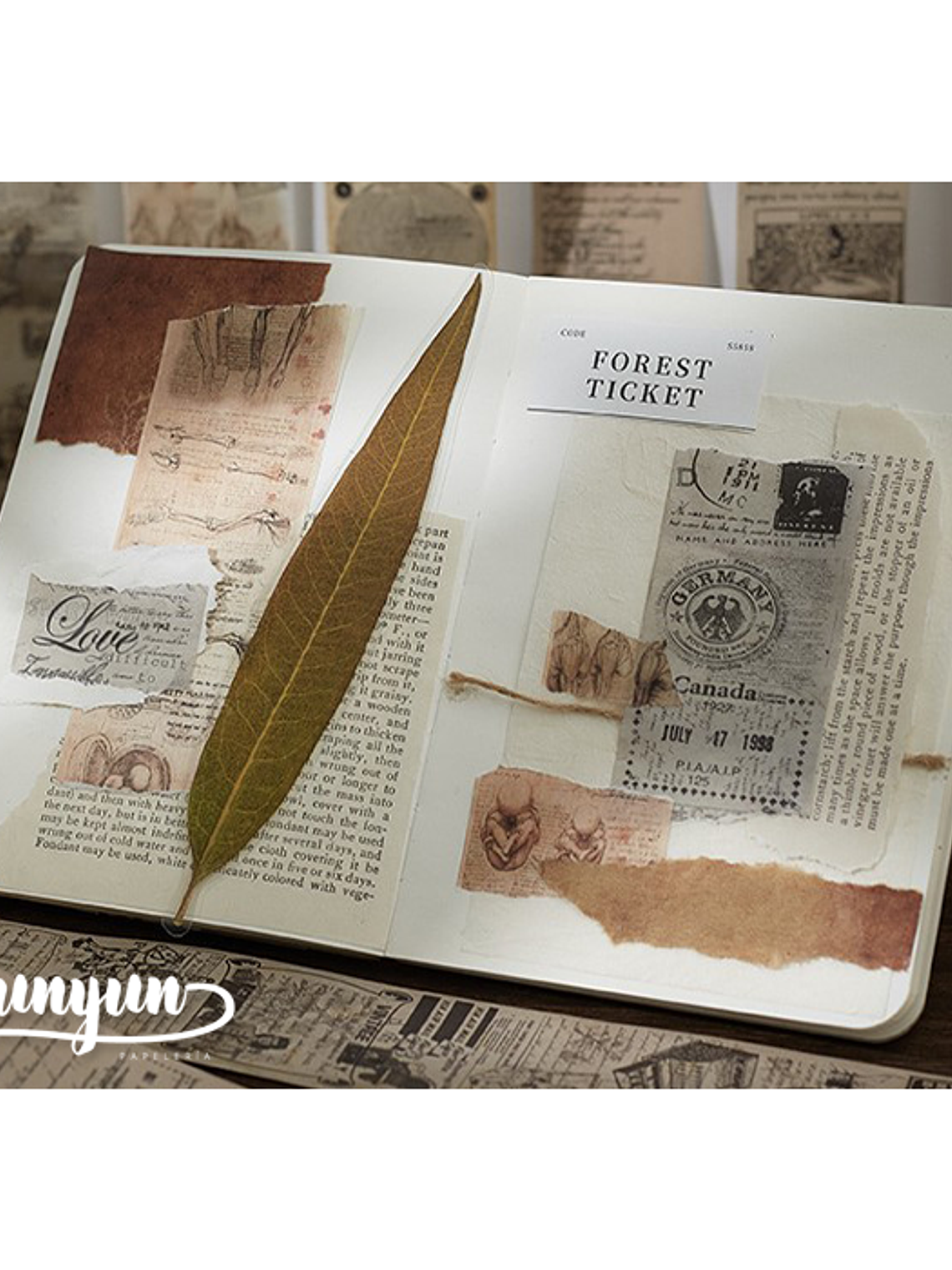 Washi Tapes Vintage II - 5 cm  7