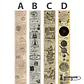 Washi Tapes Vintage II - 5 cm  - Miniatura 10