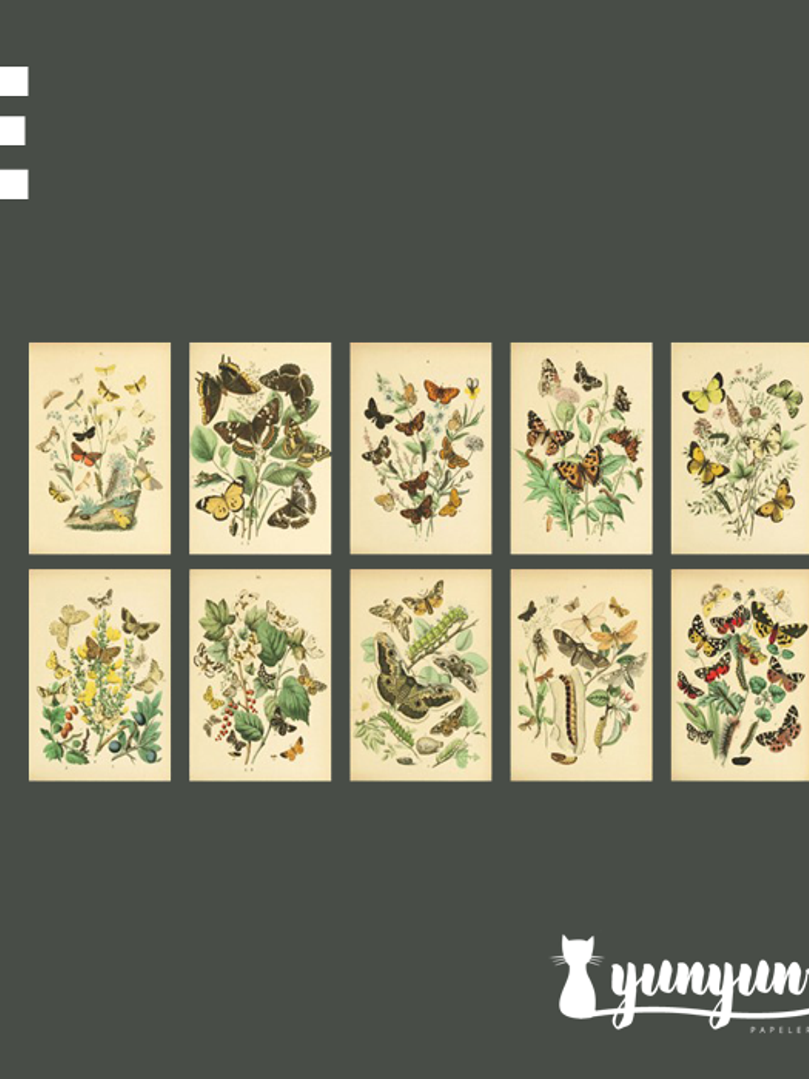 Stickers Páginas Botánicas - 10 pzas 11