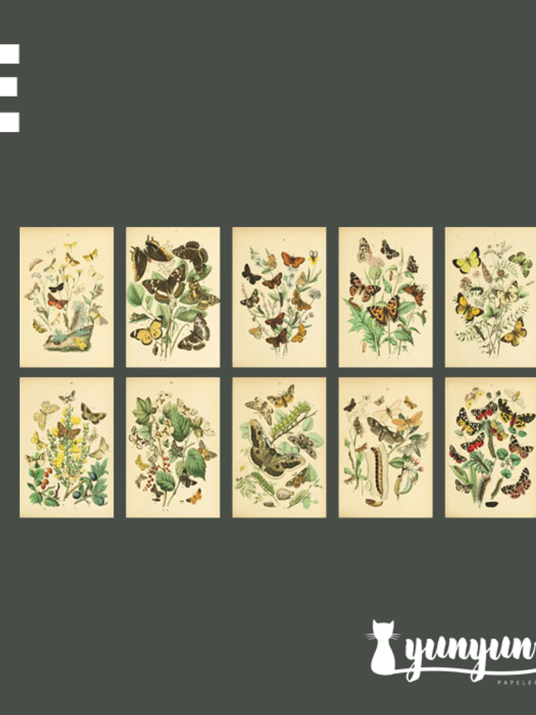 Stickers Páginas Botánicas - 10 pzas 11