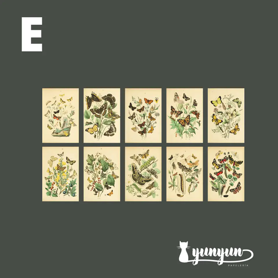 Stickers Páginas Botánicas - 10 pzas 11