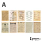 Set Traces of Time - 20 pzas - Miniatura 8