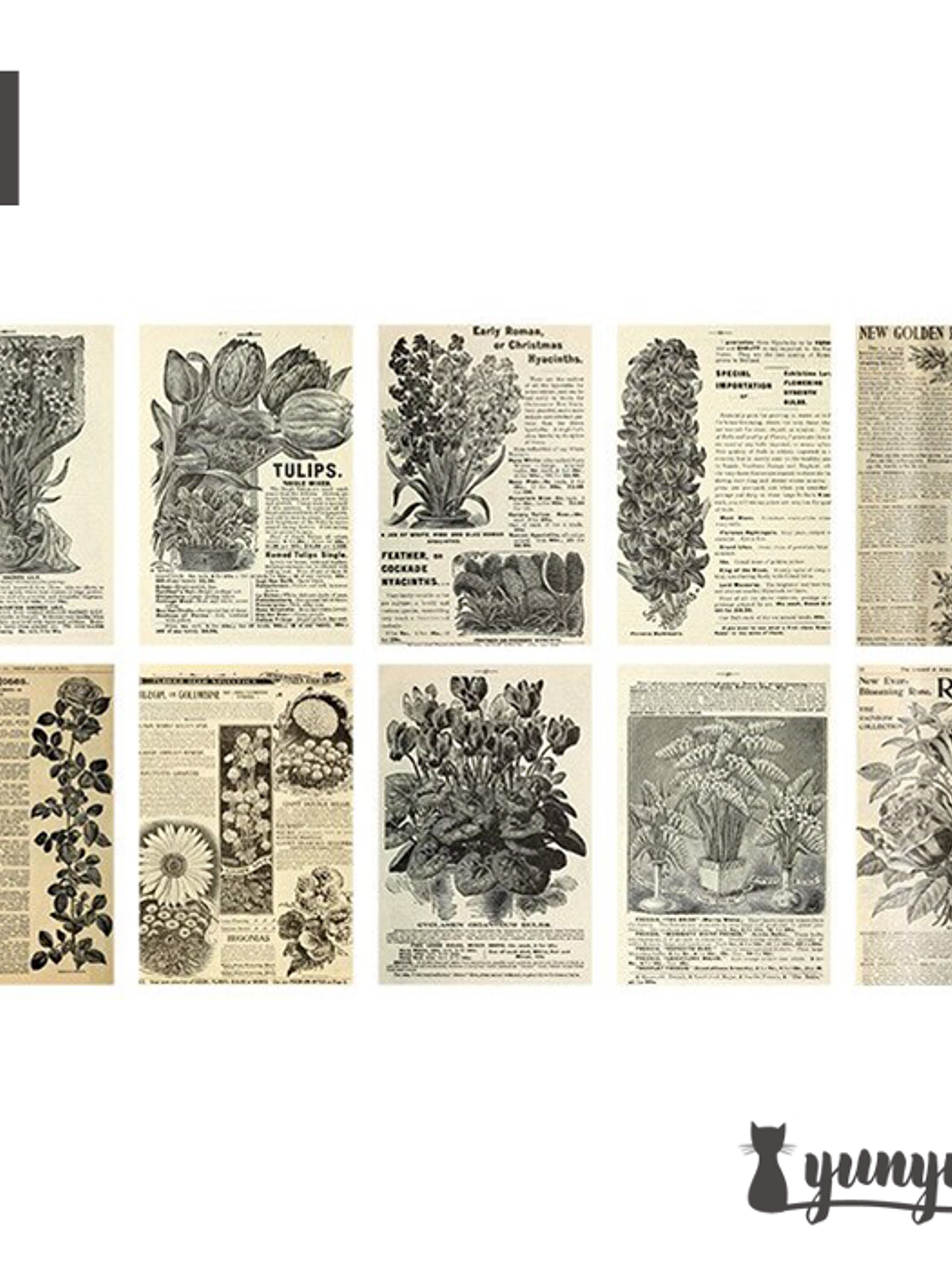 Set Traces of Time - 20 pzas 15