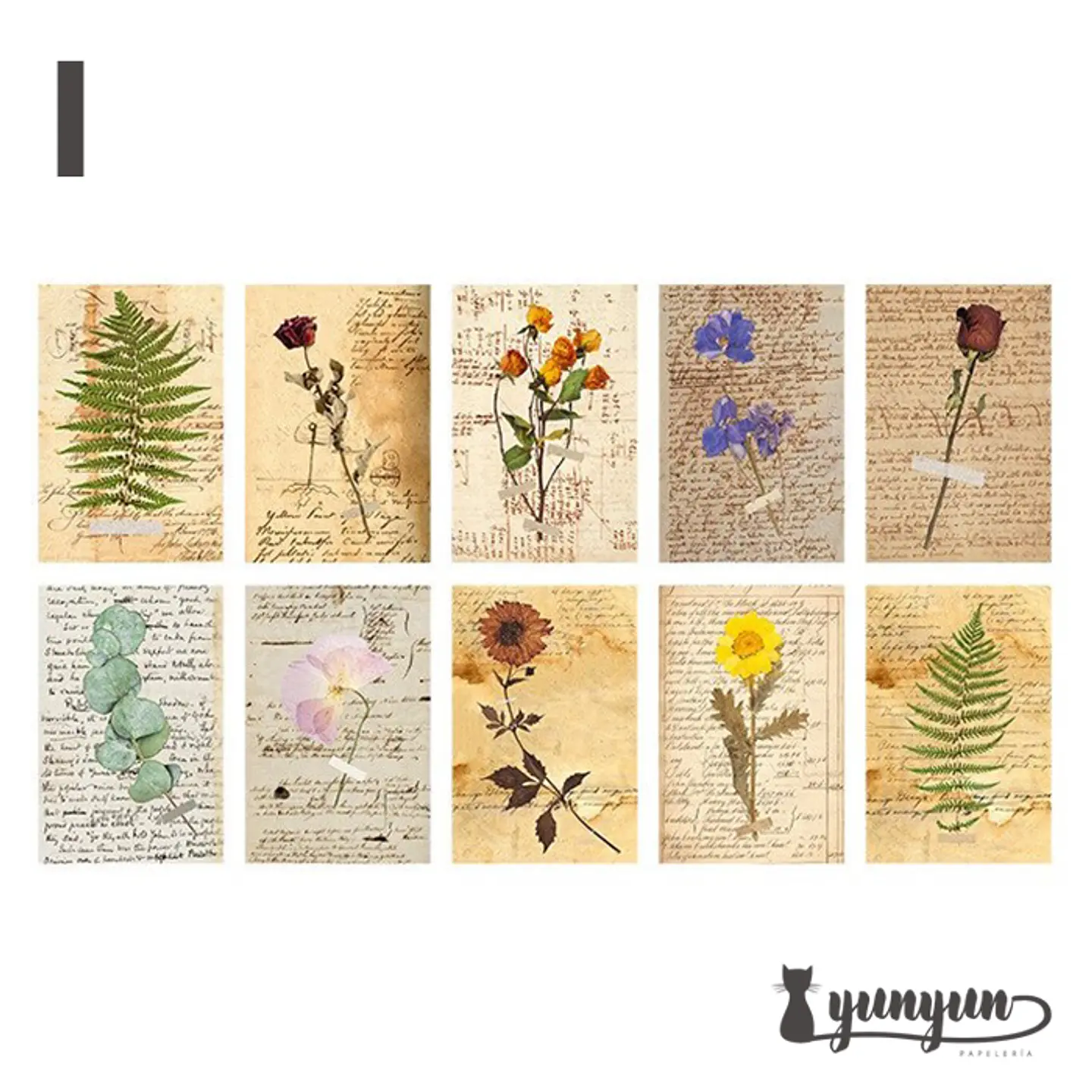 Set Traces of Time - 20 pzas 16