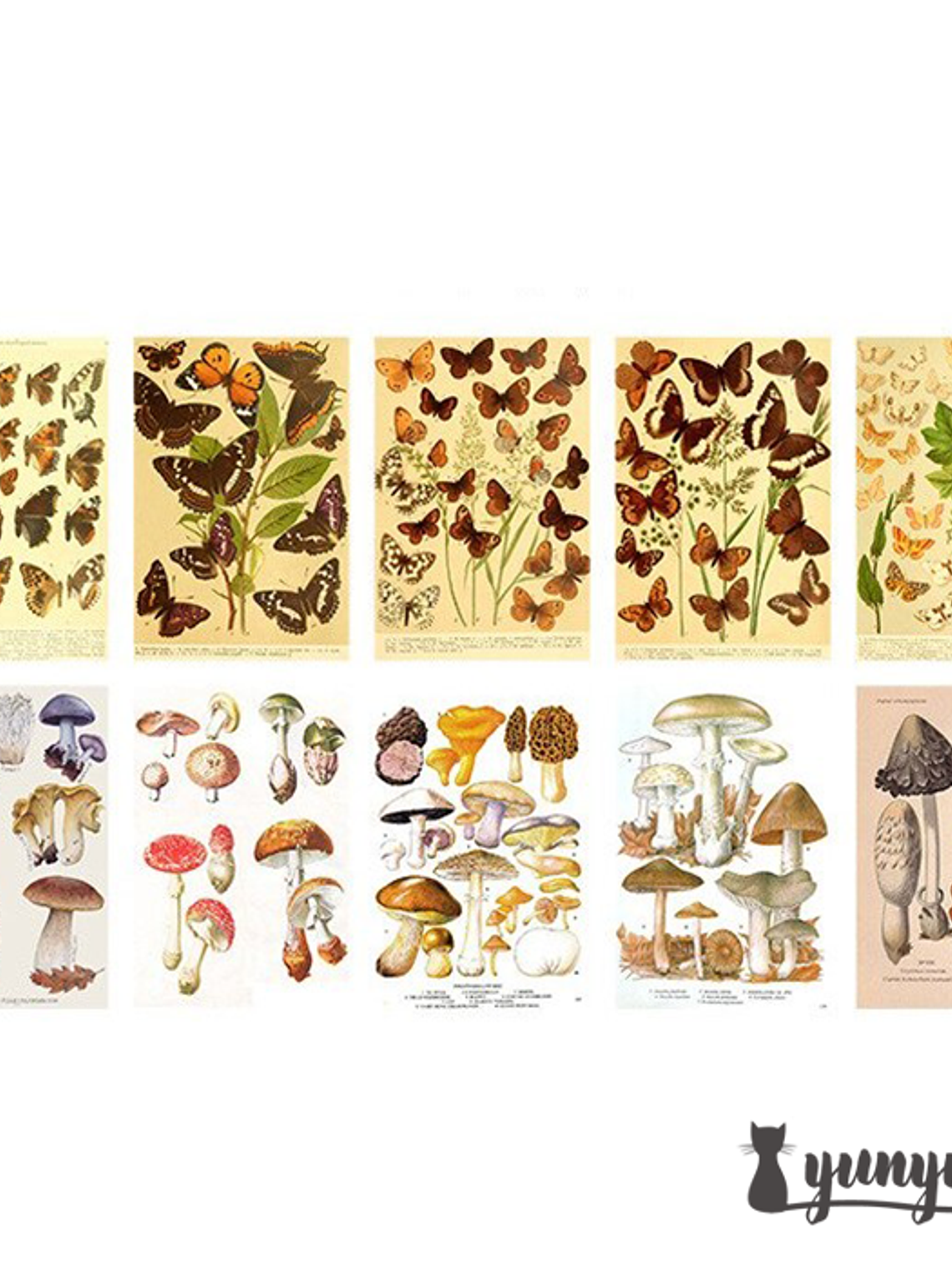 Set Traces of Time - 20 pzas 17