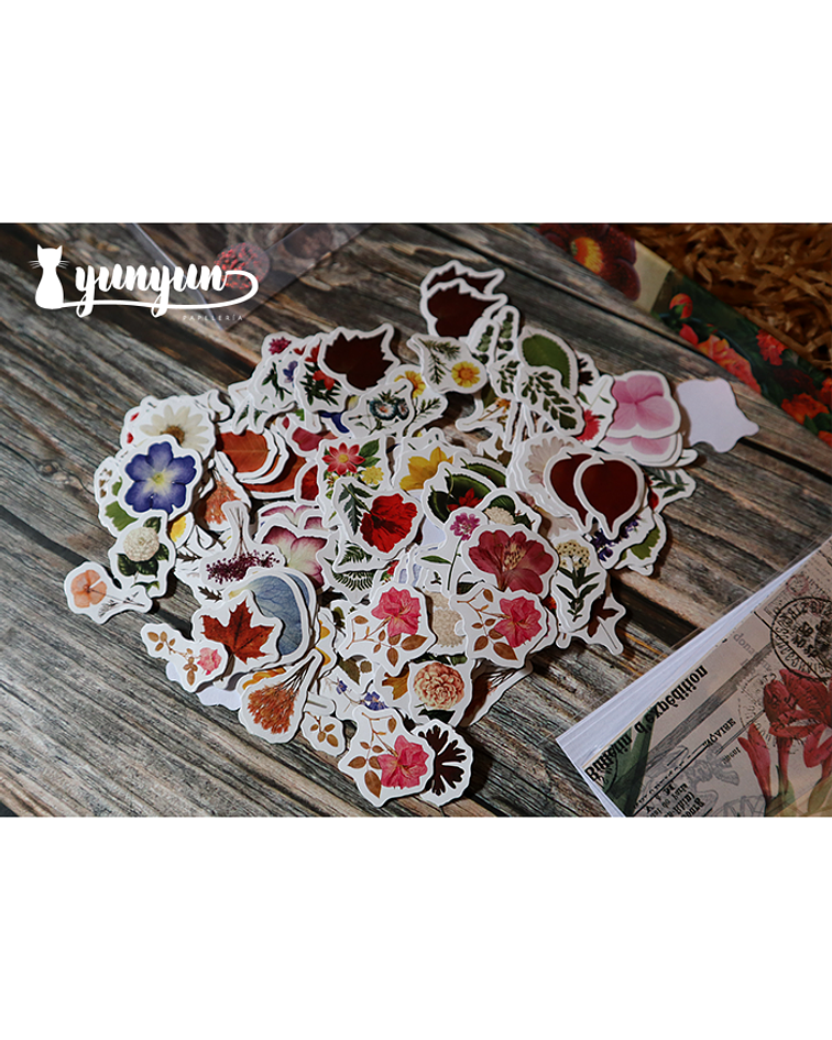 Set Stickers Four Seasons - 300 pzas