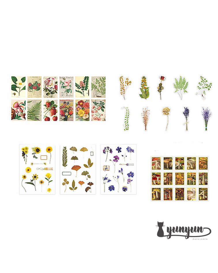 Set Stickers Four Seasons - 300 pzas