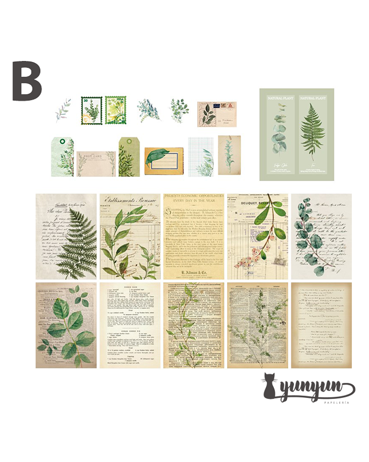 Deco Paper Botánica - 30 pzas