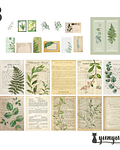 Deco Paper Botánica - 30 pzas