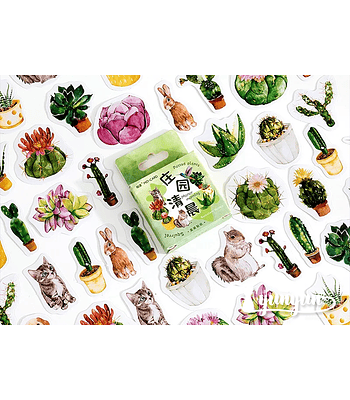 Caja Stickers Cactus & Animales - 45 pzas 