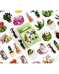 Caja Stickers Cactus & Animales - 45 pzas 