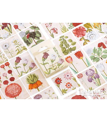 Caja Stickers Flores - 45 pzas 