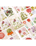 Caja Stickers Flores - 45 pzas 