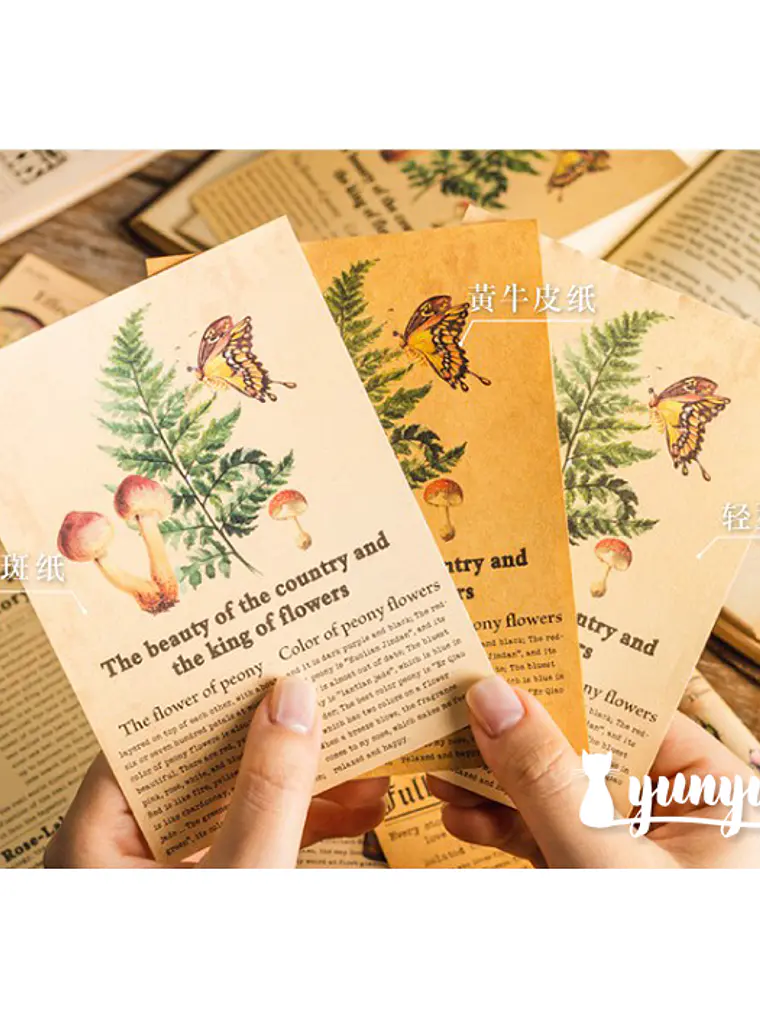 Papeles Periódico Vintage - 30 pzas 6