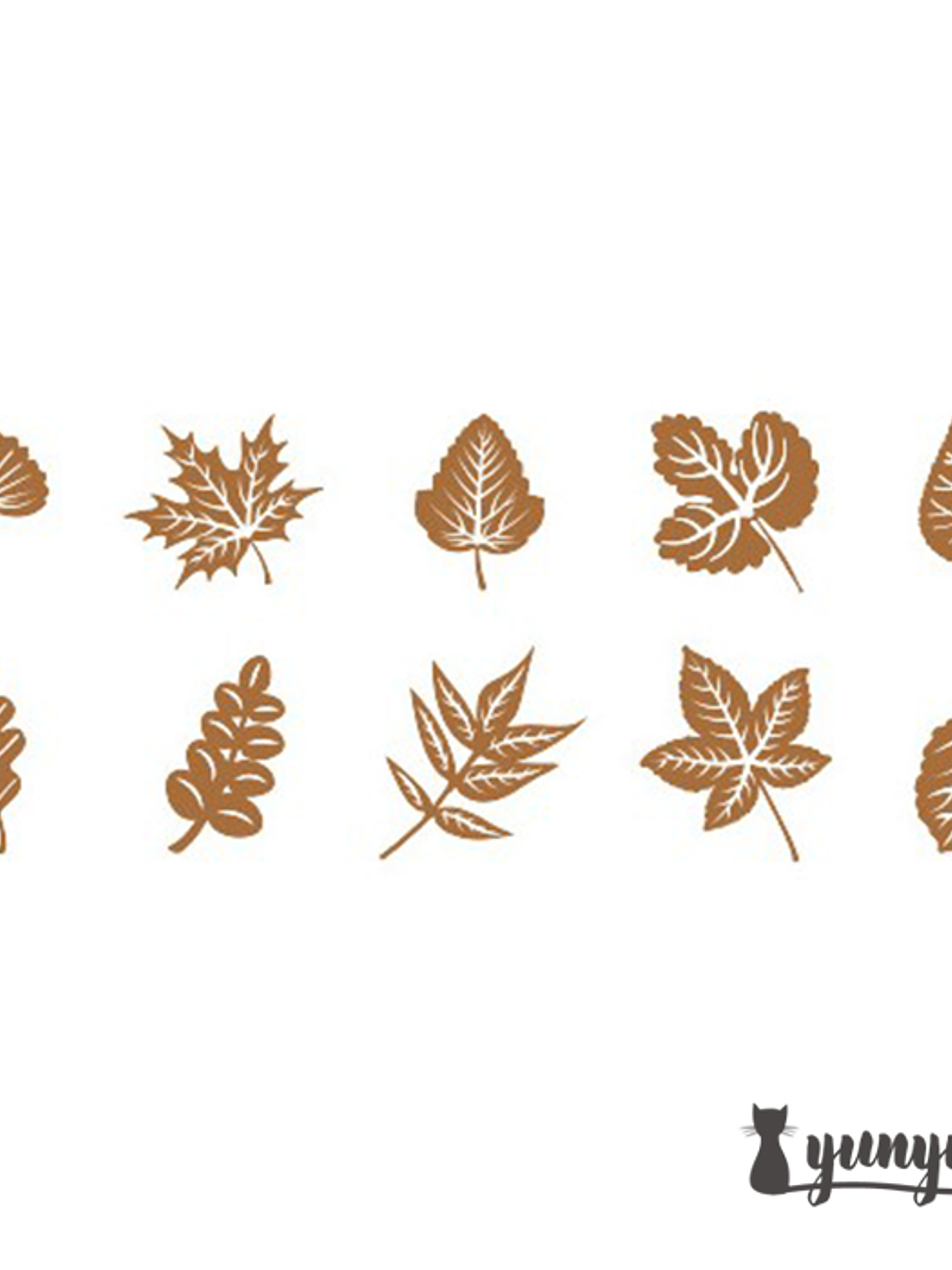 Set Blondas Papel Café II - 10 pzas 17