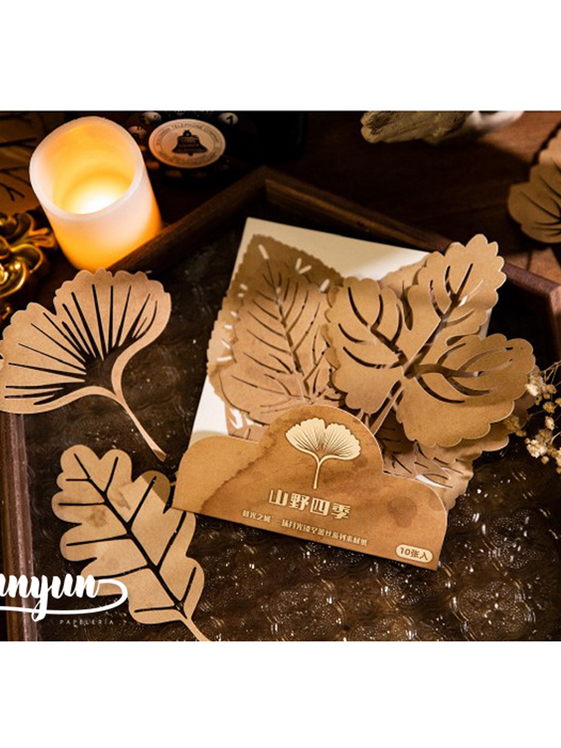 Set Blondas Papel Café II - 10 pzas 11