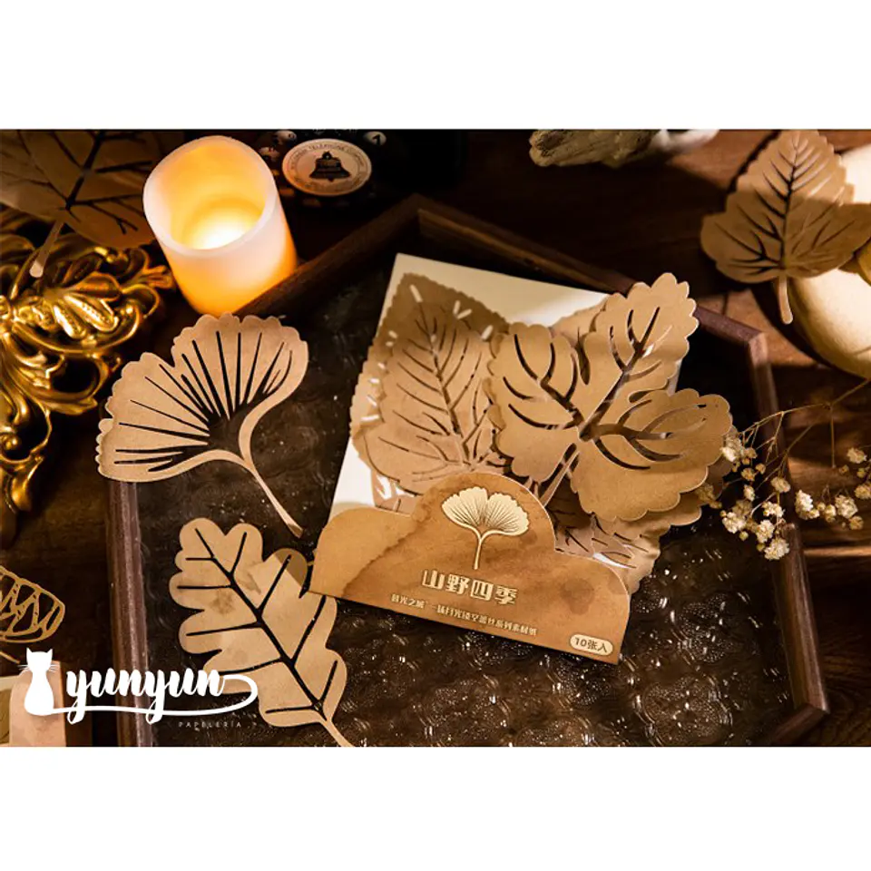 Set Blondas Papel Café II - 10 pzas 11