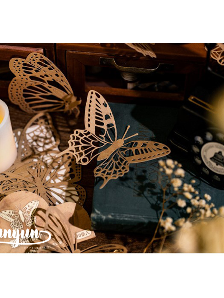 Set Blondas Papel Café II - 10 pzas 5