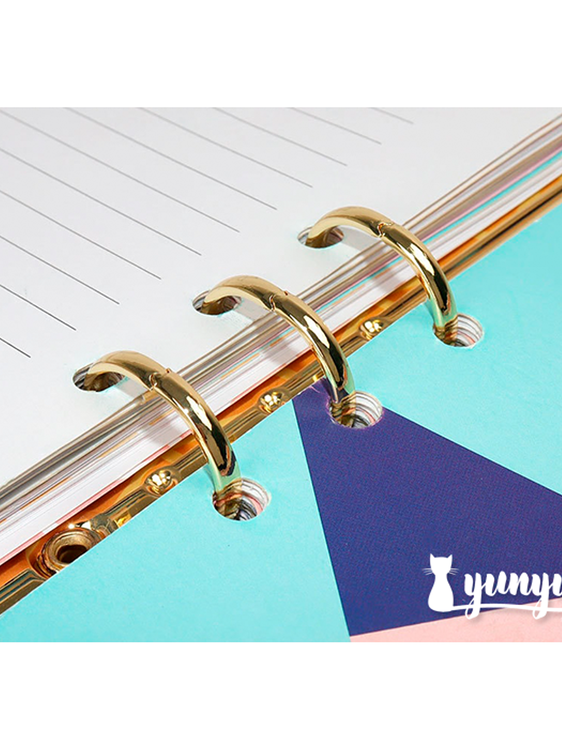 Cubierta Plástico Transparente - Cuaderno Binder Gold 5