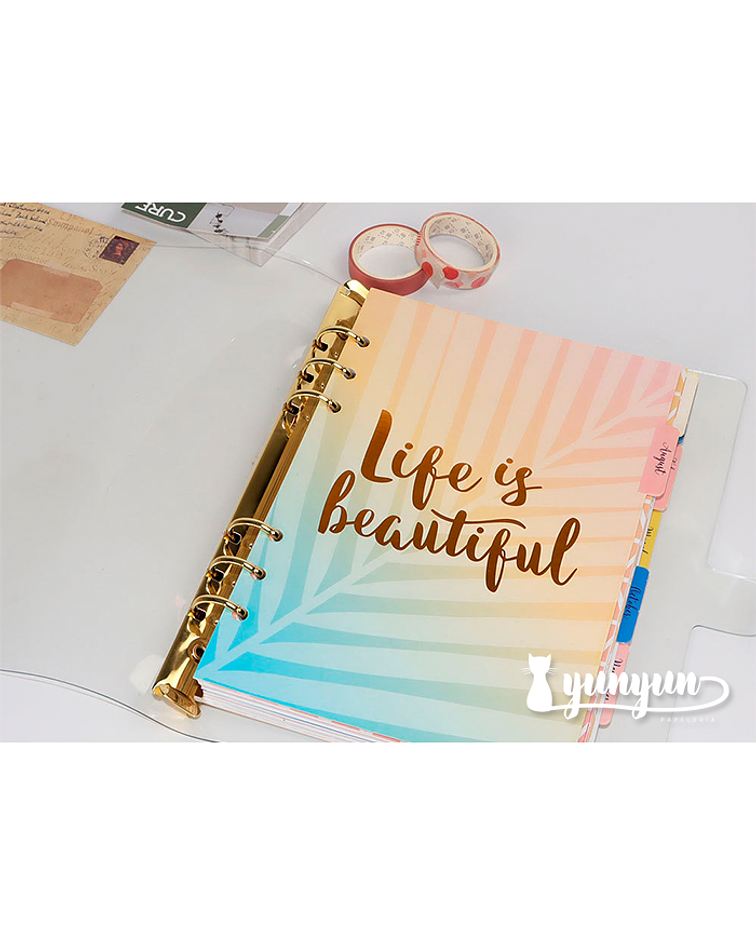 Cubierta Plástico Transparente - Cuaderno Binder Gold