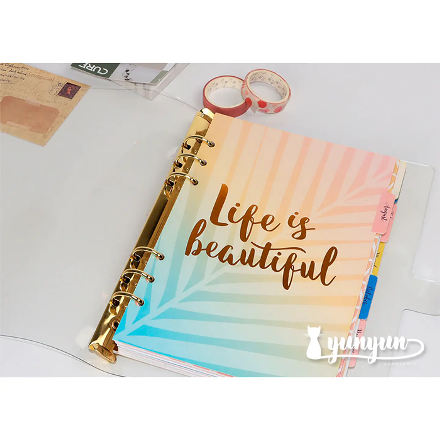 Cubierta Plástico Transparente - Cuaderno Binder Gold 4