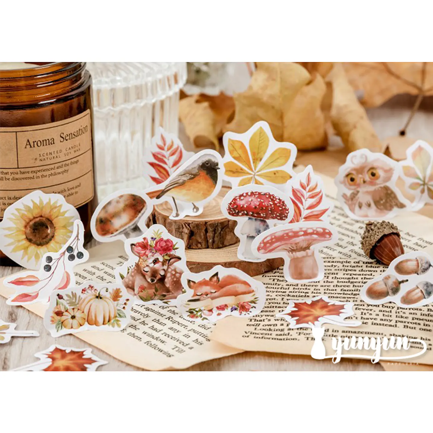 Caja Stickers Animales del Bosque II - 45 pzas 2
