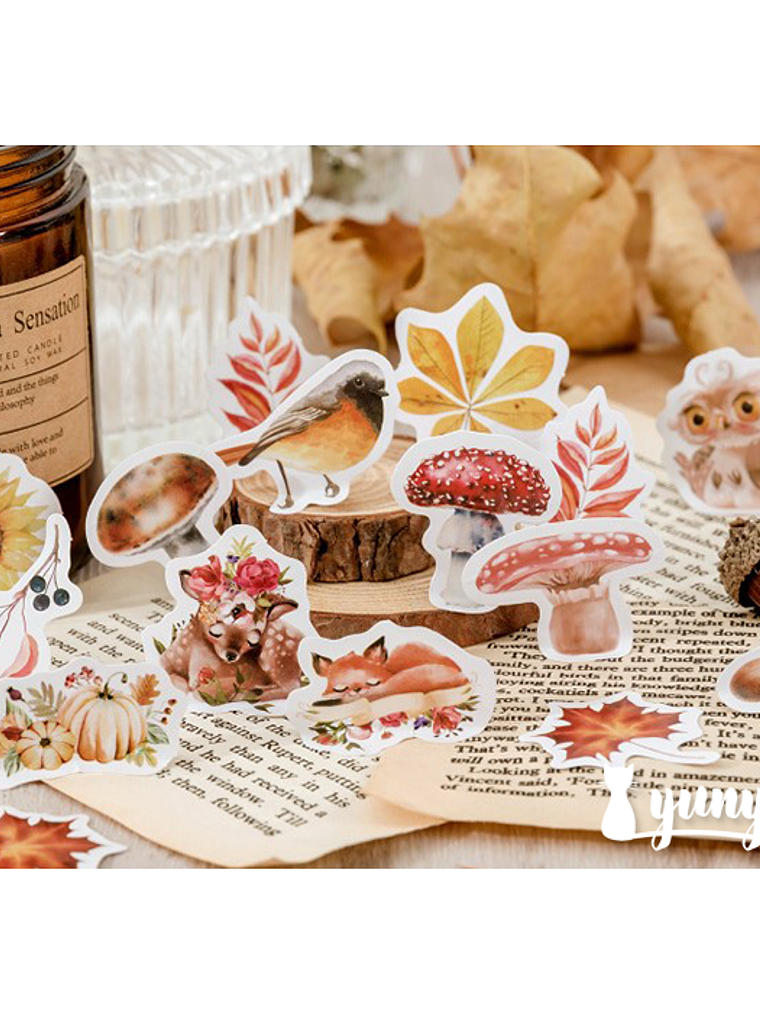 Caja Stickers Animales del Bosque II - 45 pzas 2