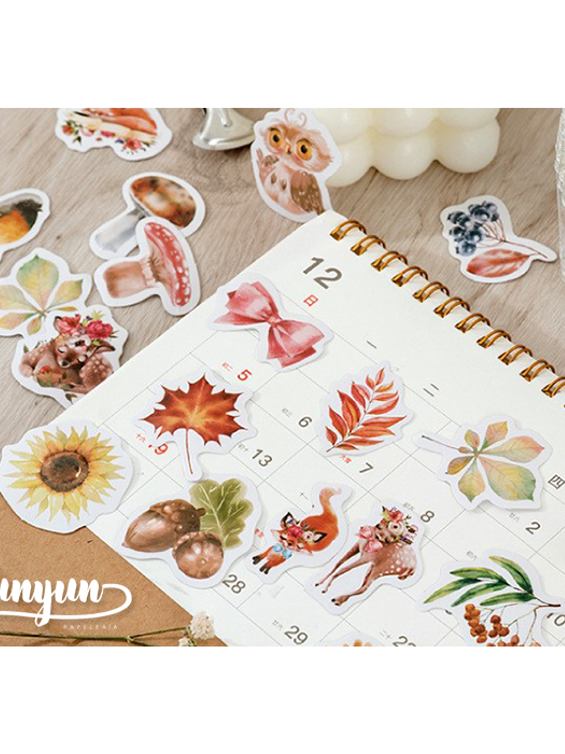 Caja Stickers Animales del Bosque II - 45 pzas 3