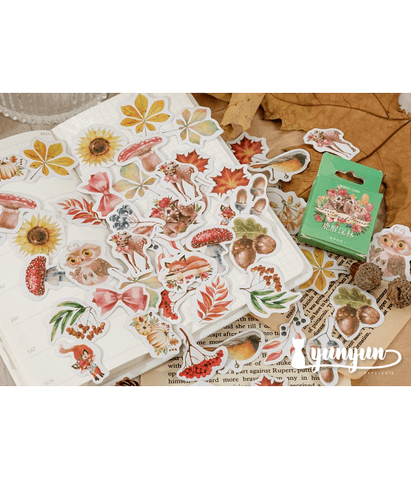 Caja Stickers Animales del Bosque II - 45 pzas