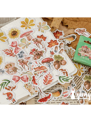 Caja Stickers Animales del Bosque II - 45 pzas