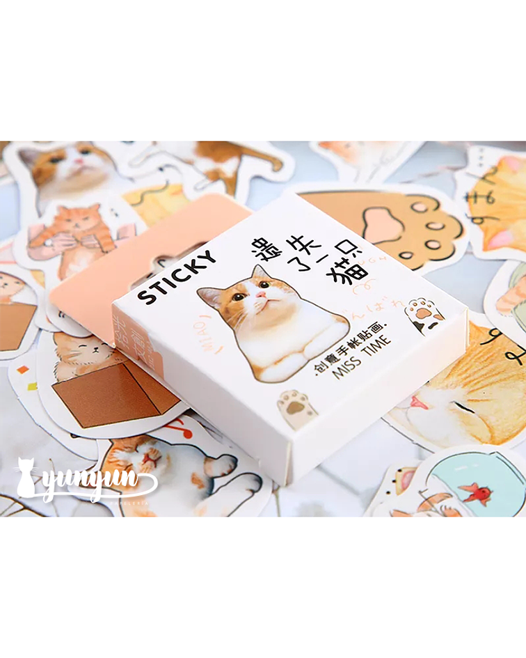 Caja Stickers Gato Orange Tabby - 45 pzas