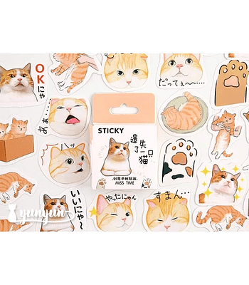 Caja Stickers Gato Orange Tabby - 45 pzas