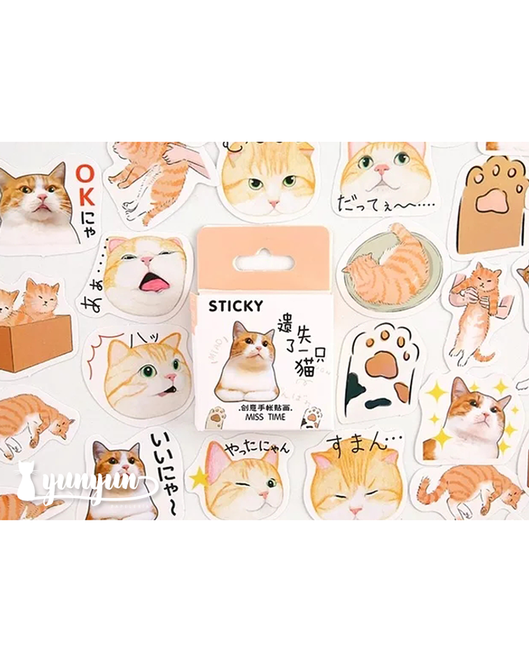 Caja Stickers Gato Orange Tabby - 45 pzas