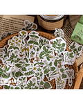 Caja Stickers Botánica #3 - 45 pzas
