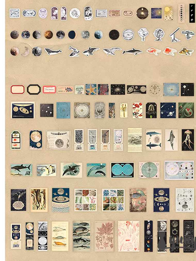 Deco Paper Box - 200 pzas 11