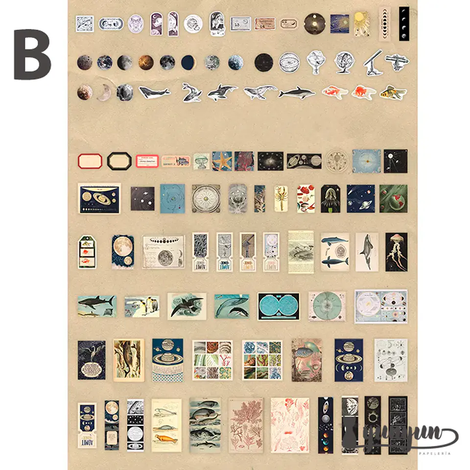Deco Paper Box - 200 pzas 11