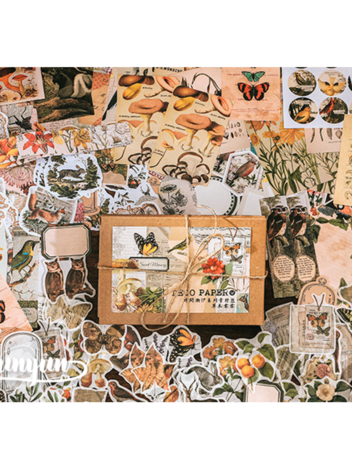 Deco Paper Box - 200 pzas 2