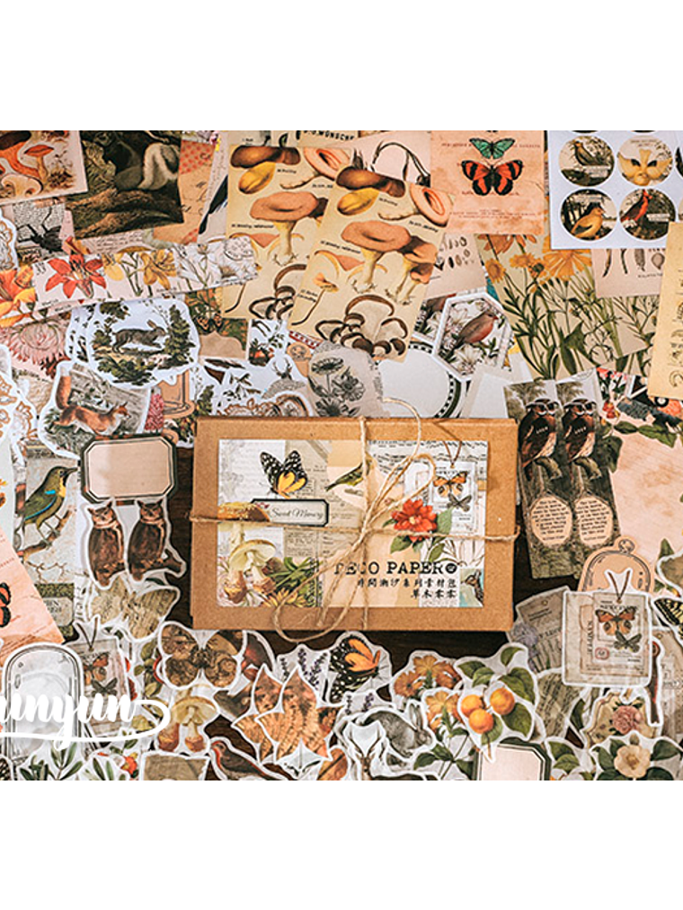 Deco Paper Box - 200 pzas 2