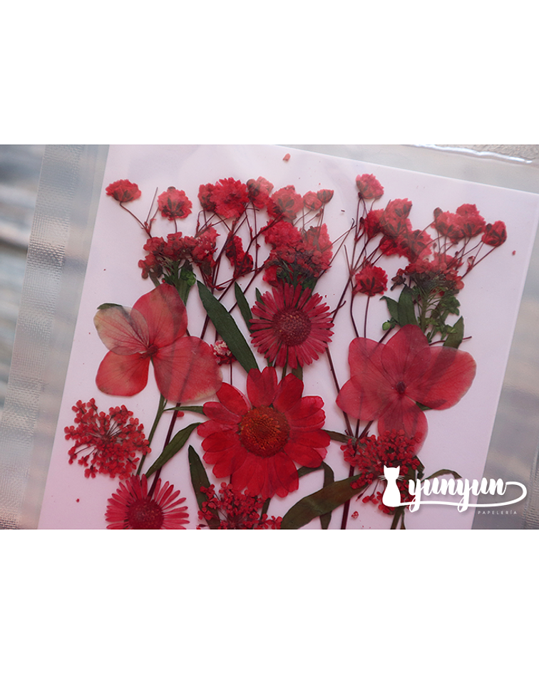 Set Flores Secas Rojo Pasión (I) - 18 pzas