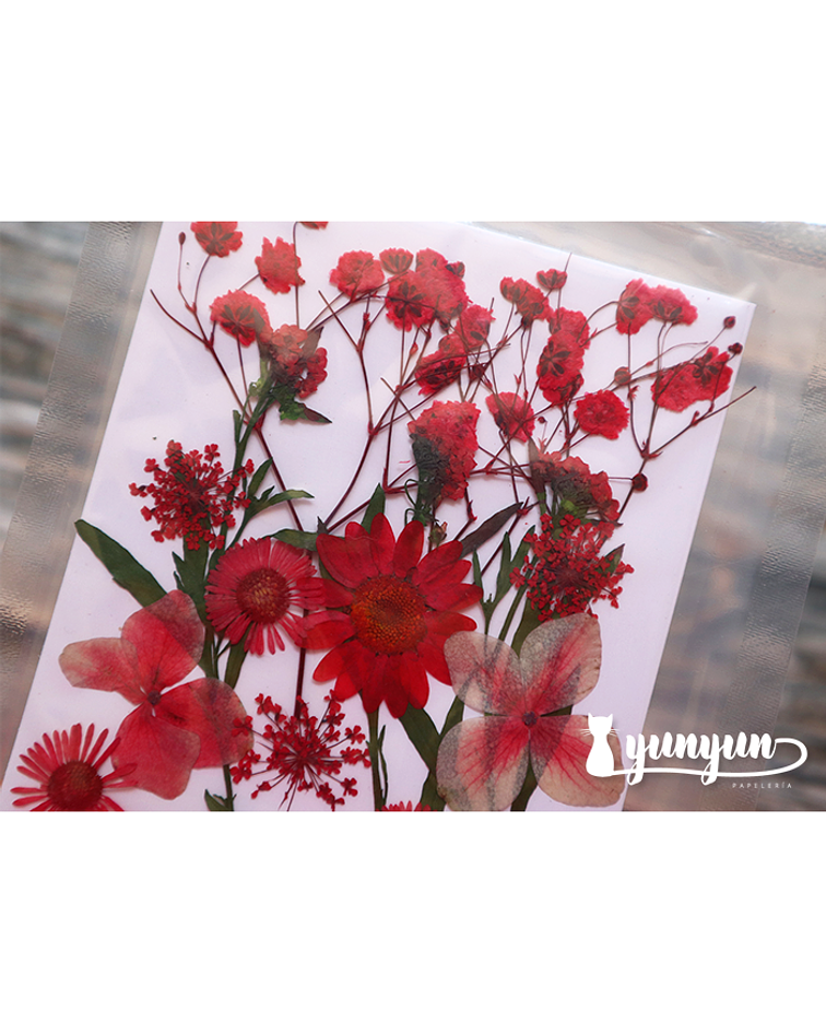 Set Flores Secas Rojo Pasión (I) - 18 pzas