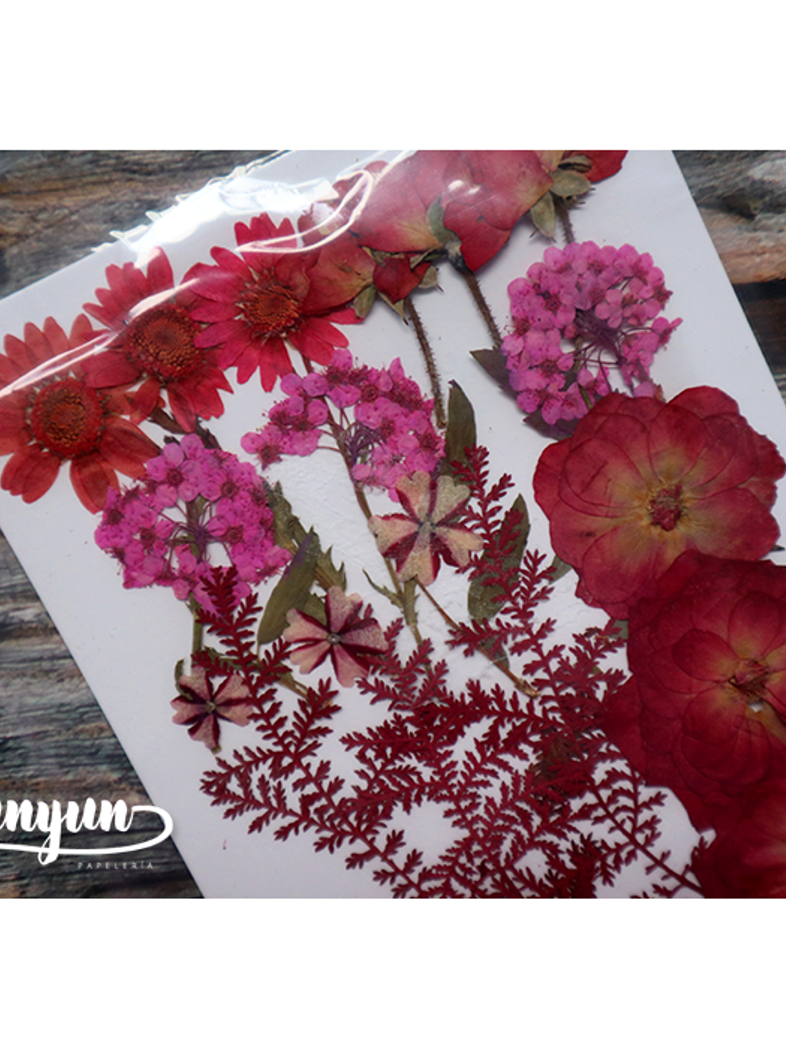 Set Flores Secas Rojo Pasión (II) - 18 pzas 4