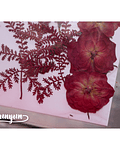 Set Flores Secas Rojo Pasión (II) - 18 pzas