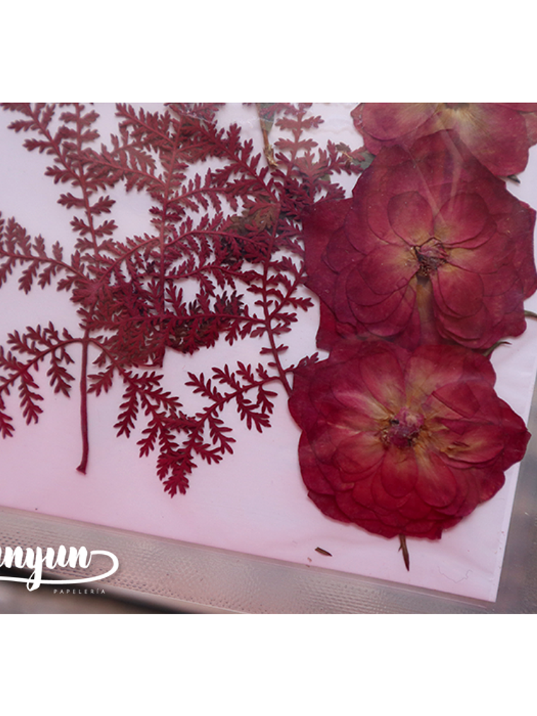 Set Flores Secas Rojo Pasión (II) - 18 pzas 3